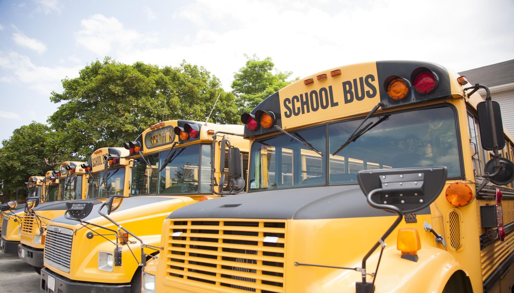 School buses lined up