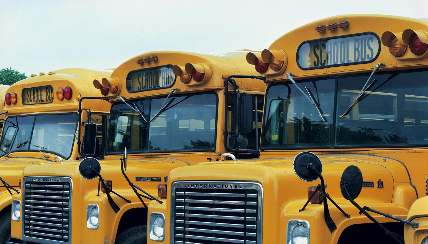 School buses