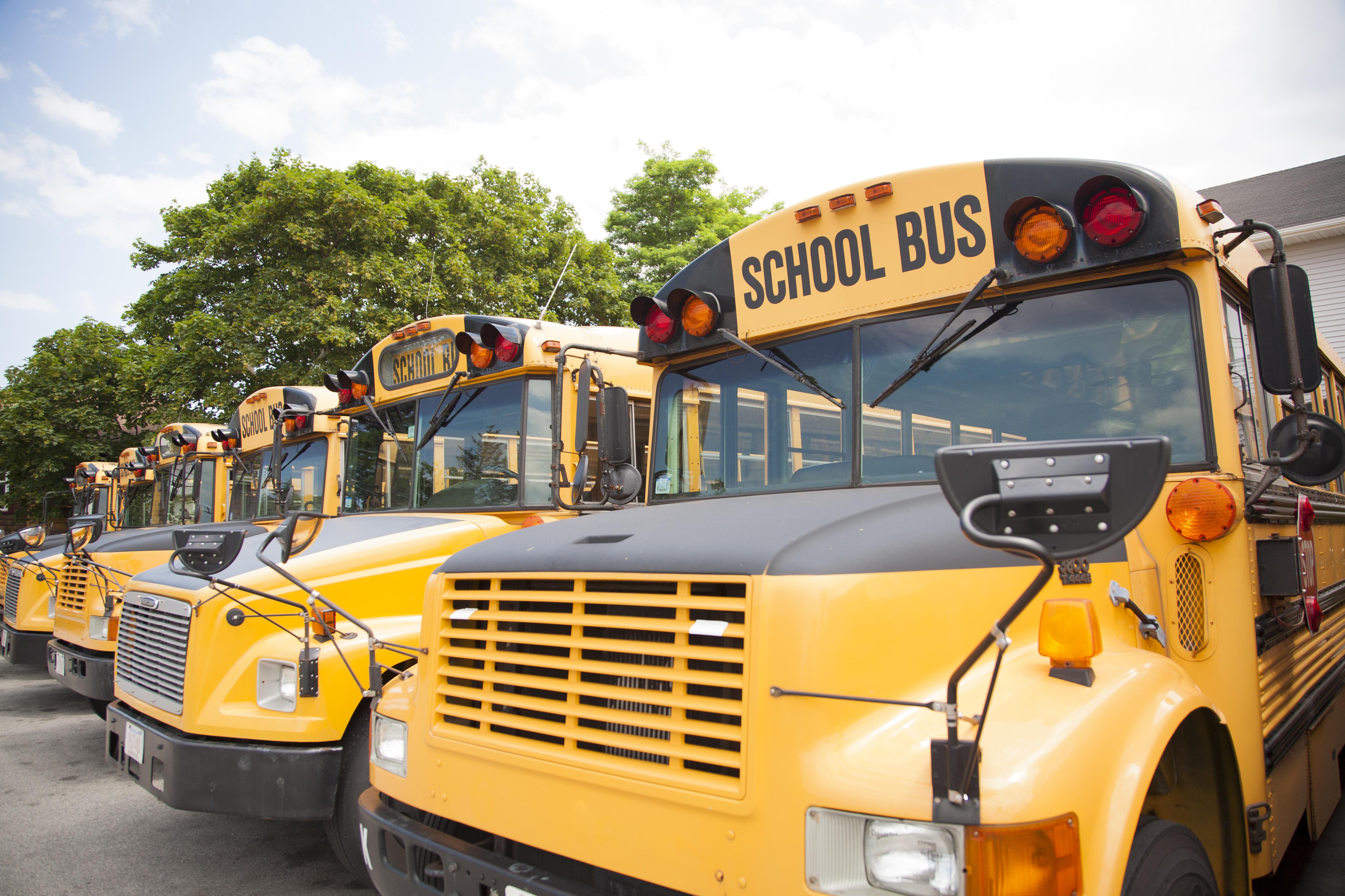 School buses lined up