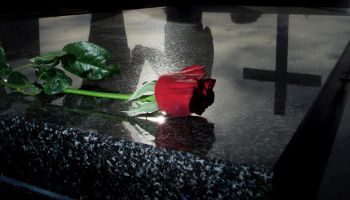 Red rose lying on a grave at a cemetery, 22 July 2002. NCH Picture by DARREN PA