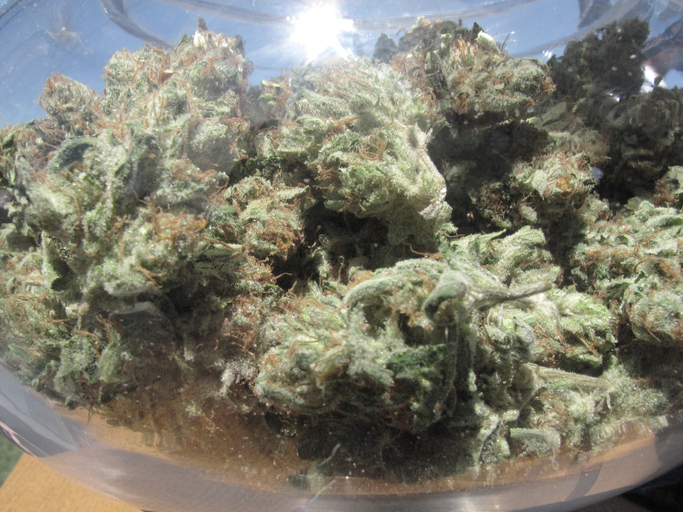 Jar full of marijuana buds
