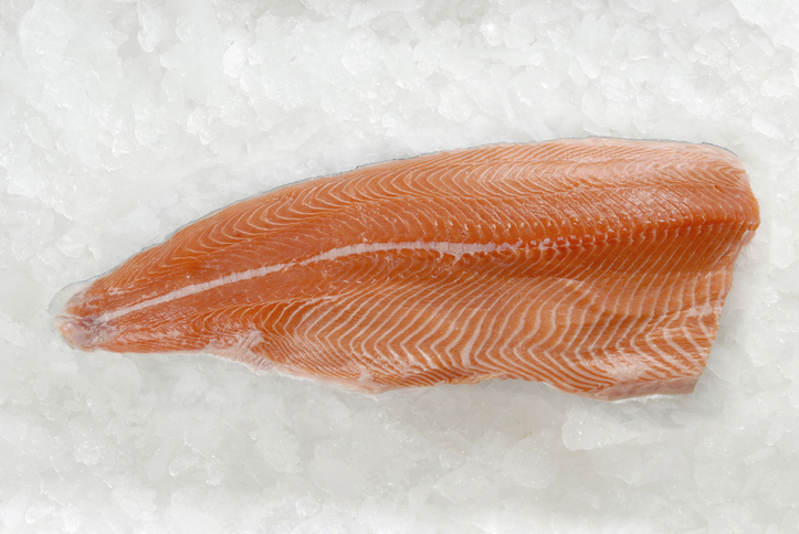 Fresh Salmon fillet