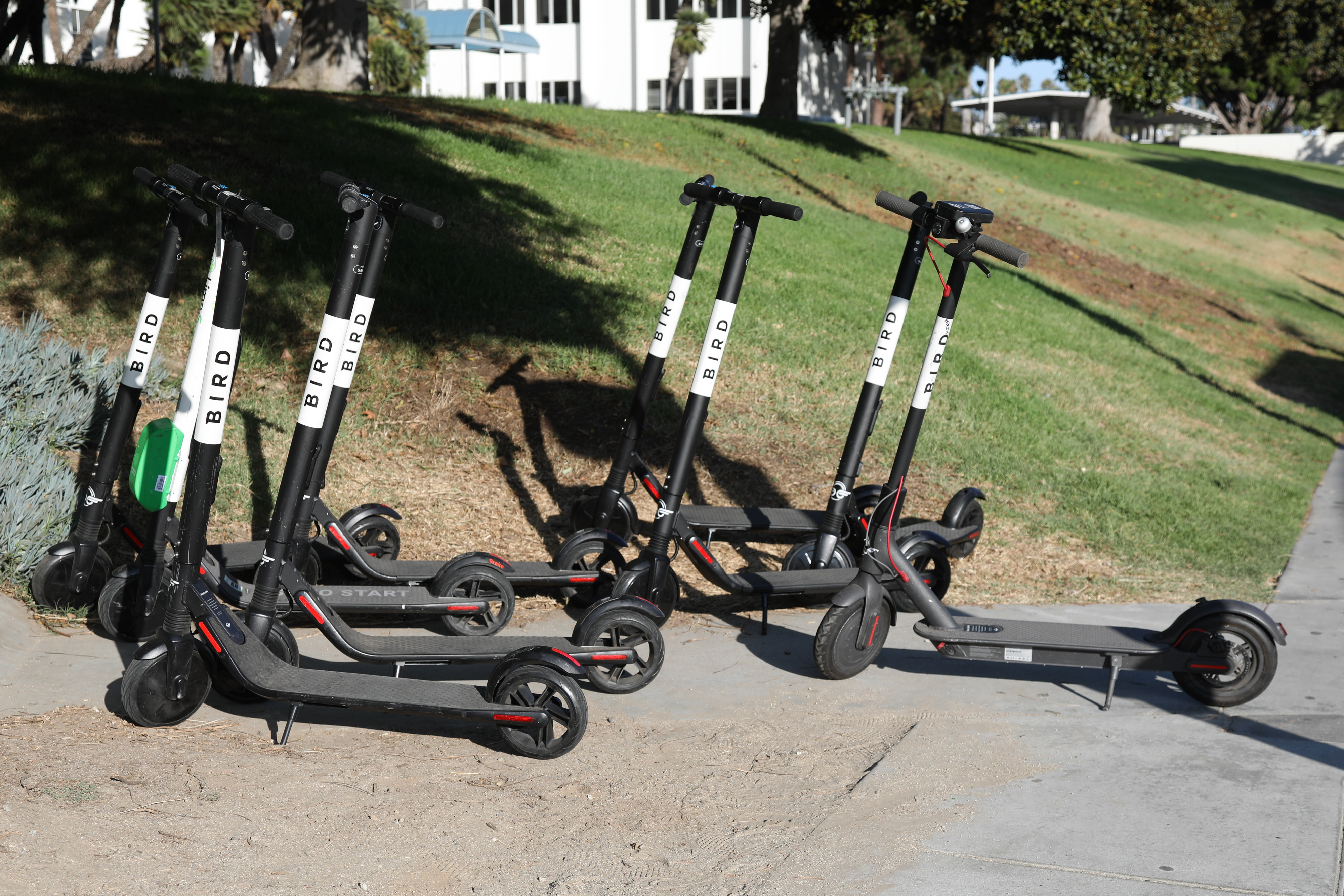 Bird and Lime Scooter Protest at City Hall in Santa Monica, California