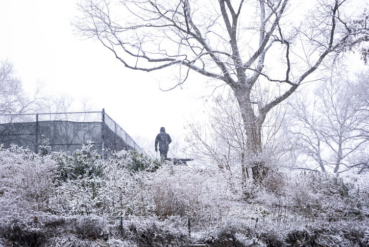 Person in the snowy park