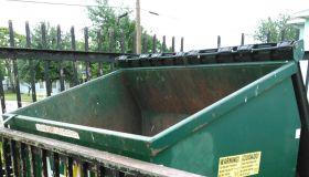 Dumpster Dog Is Rescued With Moments To Spare