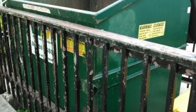 Dumpster Dog Is Rescued With Moments To Spare