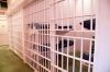 Pink Jail Cell
