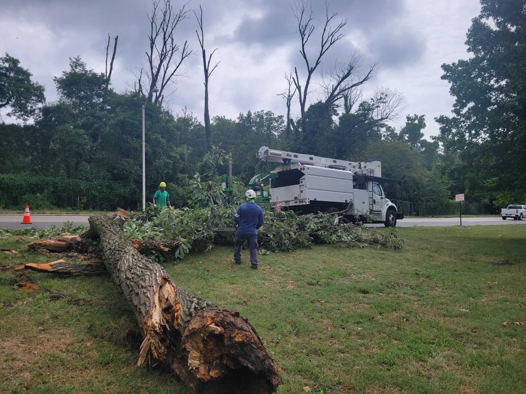 Crews clean up a fallen tree on Falls Road near Western High School in Baltimore. More than 7,000 BGE customers remained without power on Monday morning after storms over the weekend.